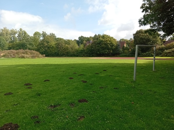 Sportplatz am Wasserturm - Kiel-Neumühlen-Dietrichsdorf