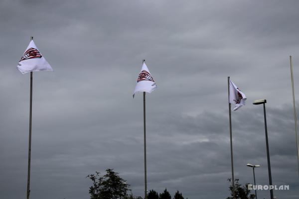 AVIS völlurinn - Reykjavík