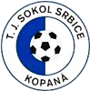 Wappen TJ Sokol Srbice