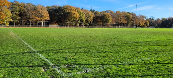 Catawiki Sportpark veld 6 - Assen
