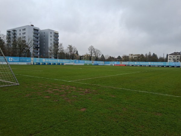 Trainingsgelände Grünwalder Straße - München-Giesing