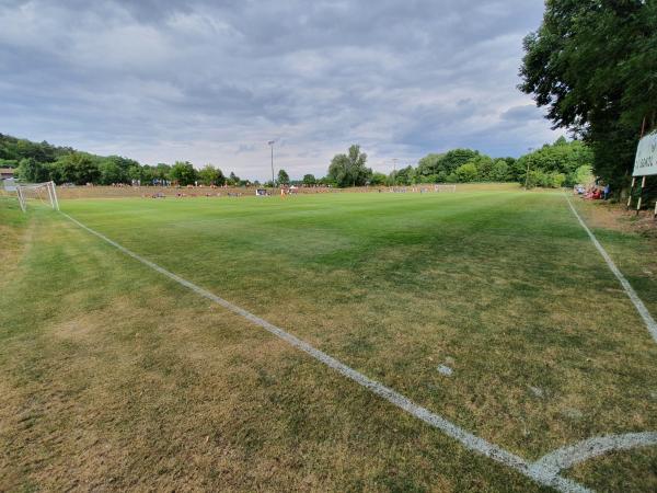 Stadion Míly Vinše - Sazená
