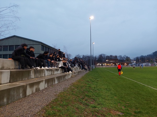 Sportplatz Allmend - Horgen