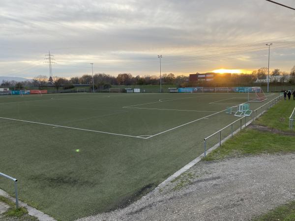 heimatec Jugendarena  - Offenburg 
