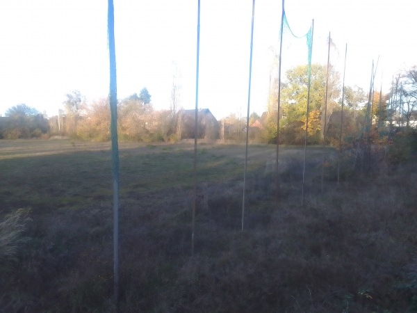 Stadion Carl-Diem-Straße C-Platz - Gifhorn