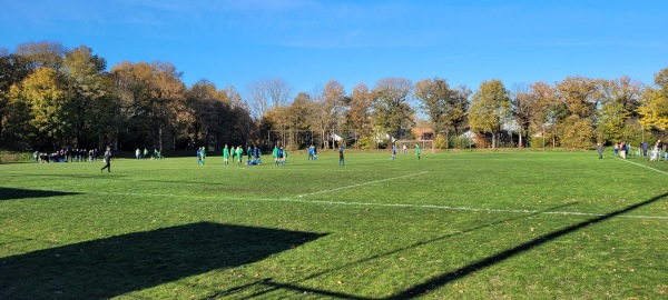 Catawiki Sportpark veld 2 - Assen