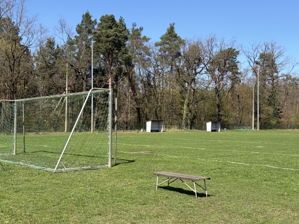 Sportstätte Friedrich-Ludwig-Jahn Platz 2 - Oranienbaum-Wörlitz