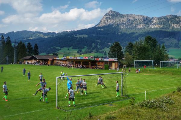 Borkenkäferstadion - Tannheim