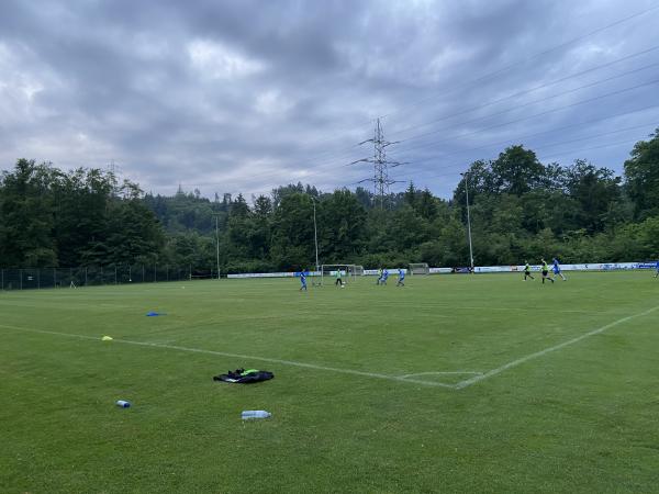 Sportplatz Reitplatz Platz 2 - Winterthur