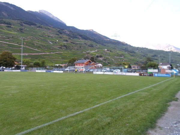 Alter Zustand (Naturrasen)