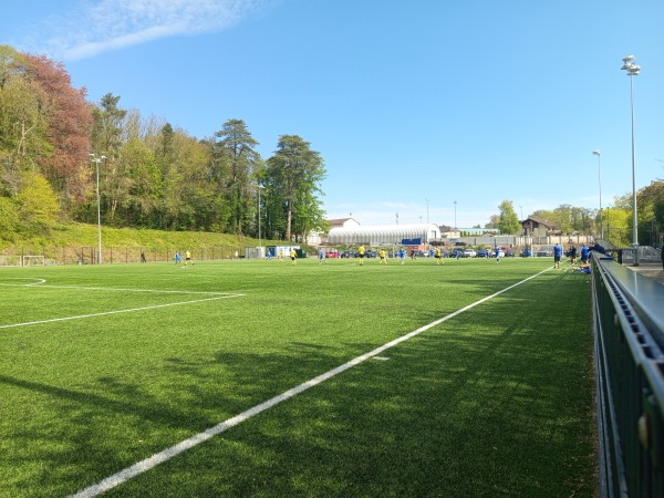 Lakeview Park - All Weather Pitch - Loughgall