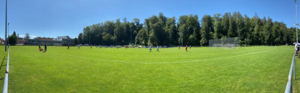 Sportplatz Heusser-Staub-Wiese - Uster