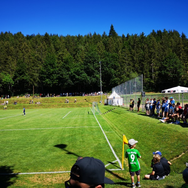 Sportanlage Am Bahnhof - Blumberg-Riedöschingen