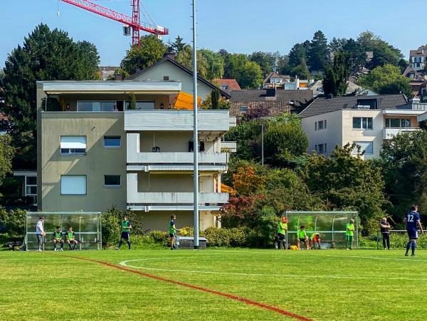 Sportplatz Riet - Zollikon