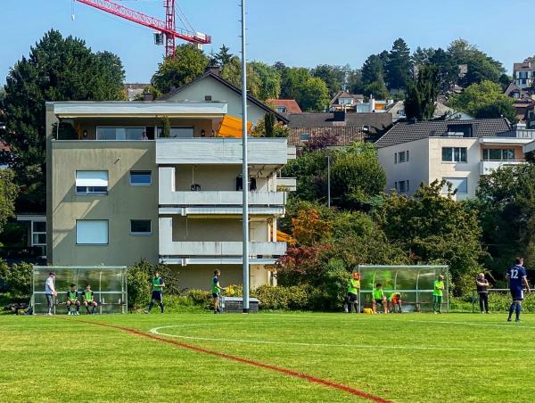 Sportplatz Riet - Zollikon