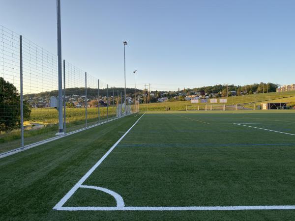 Sportplatz Sürenloh Platz 2 - Uitikon