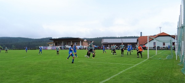 Viehbergarena - Sandl