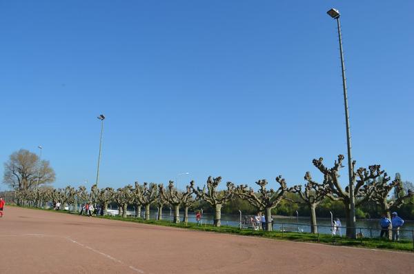 Sportplatz am Hafenpark - Rüdesheim/Rhein