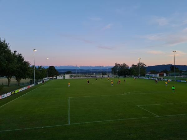 Sportplatz Rötschmatte - Ins
