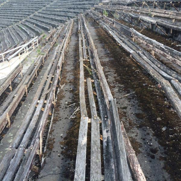 Tsentralnyi Miskyi Stadion - Vinnytsia