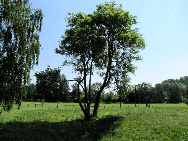 Sportanlage An der Parthe Platz 2 - Leipzig-Mockau