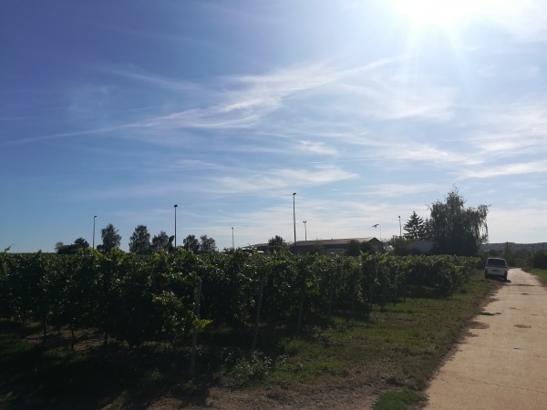 Sportplatz Heidesheim - Obrigheim/Pfalz-Colgenstein-Heidesheim