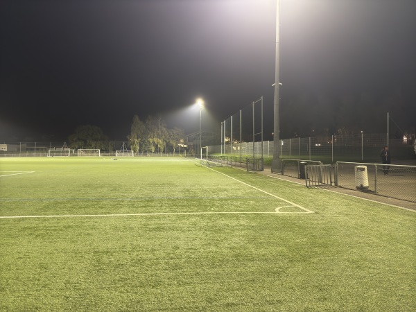 Stade des Burgondes terrain annexe - Saint-Julien-en-Genevois