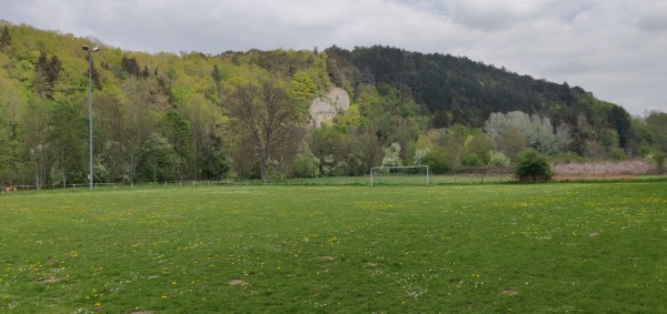 Terrain Chemin de Neauviau - Viroinval-Olloy-sur-Viroin