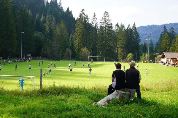 Borkenkäferstadion - Tannheim