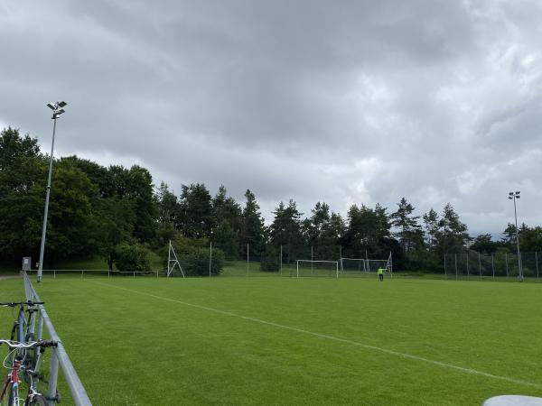Sportanlage Hardhof Platz 8 - Zürich