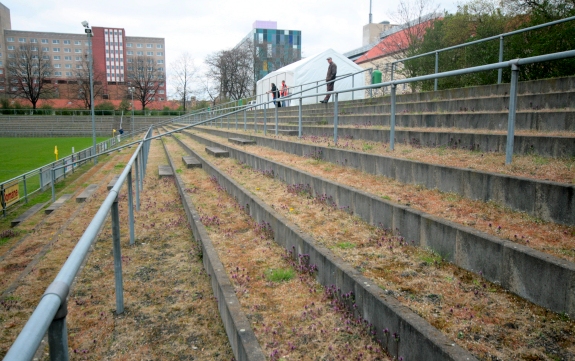 HOWOGE-Arena »Hans Zoschke« - Berlin-Lichtenberg