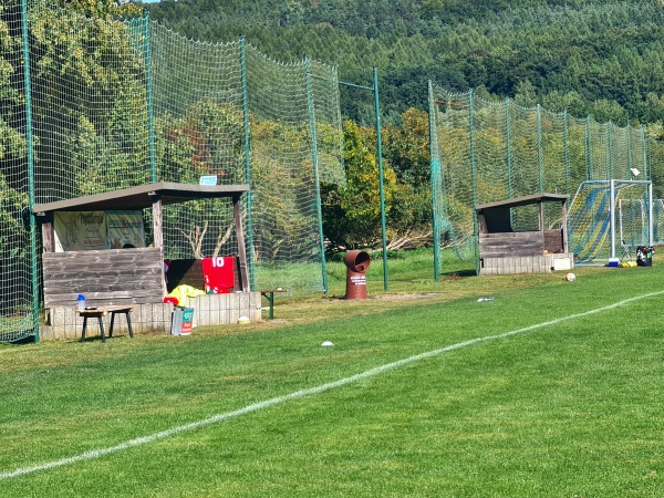 Sportanlage Freiheitsplatz von 1848 - Waldenburg
