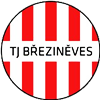 Wappen TJ Březiněves B