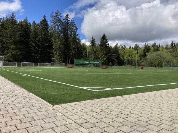 Brauerei-Elf Stadion - Weilheim/Baden-Remetschwiel