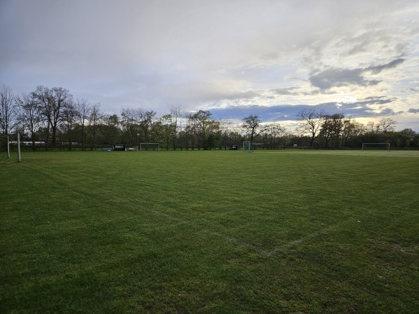 Münsterland Stadion C-Platz - Steinfeld (Oldenburg)-Mühlen