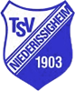 Wappen TSV 03 Niederissigheim  17699