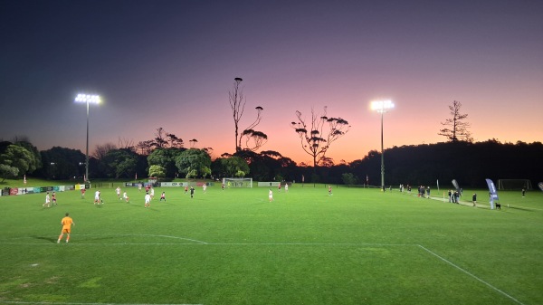 Shepherds Park - Auckland