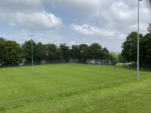 Stade du Guintzet terrain 2 - Fribourg