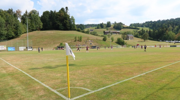 Waldstadion - Langenegg-Lingenau