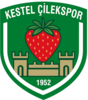 Wappen Kestel Çilekspor