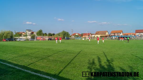 Stadionul Nicu Moraru - Giarmata