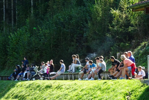 Sportplatz Opponitz - Opponitz