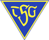 Wappen TSG Dülmen 1919  8928