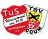Wappen SG Loccum II / Wasserstraße (Ground A)