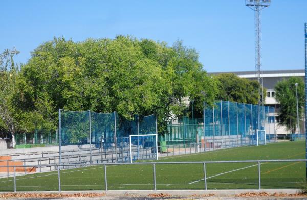 Polideportivo El Carrascal - Leganés, MD