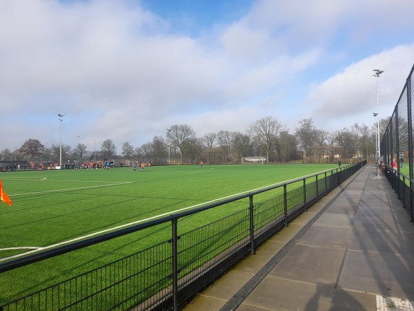 Sportpark Ossenkoppelerhoek veld 03-Oranje N. - Almelo-Ossenkoppelerhoek