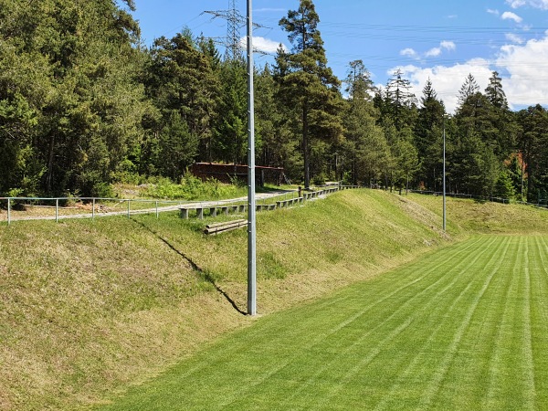 Sportplatz Wiesle - Karres