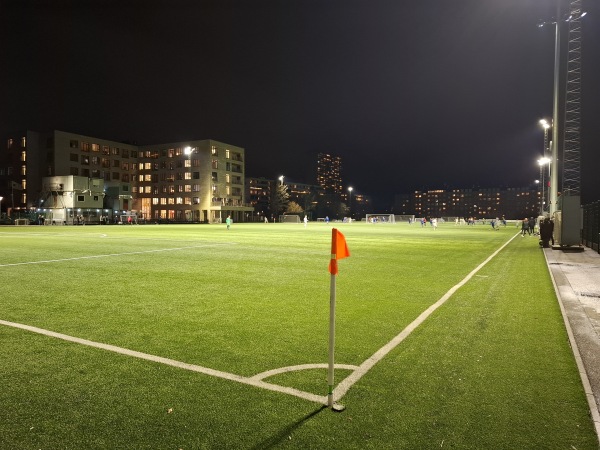 Frederiksberg Idræt kunst 1 - Frederiksberg