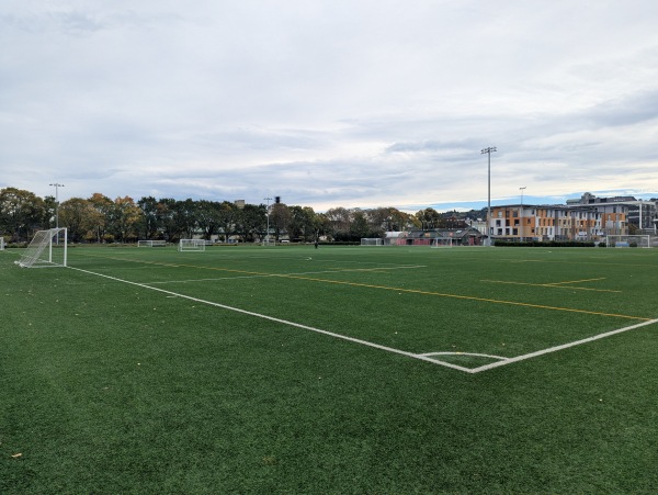 Logan Park Field A2 - Dunedin