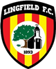 Wappen Lingfield FC  84908
